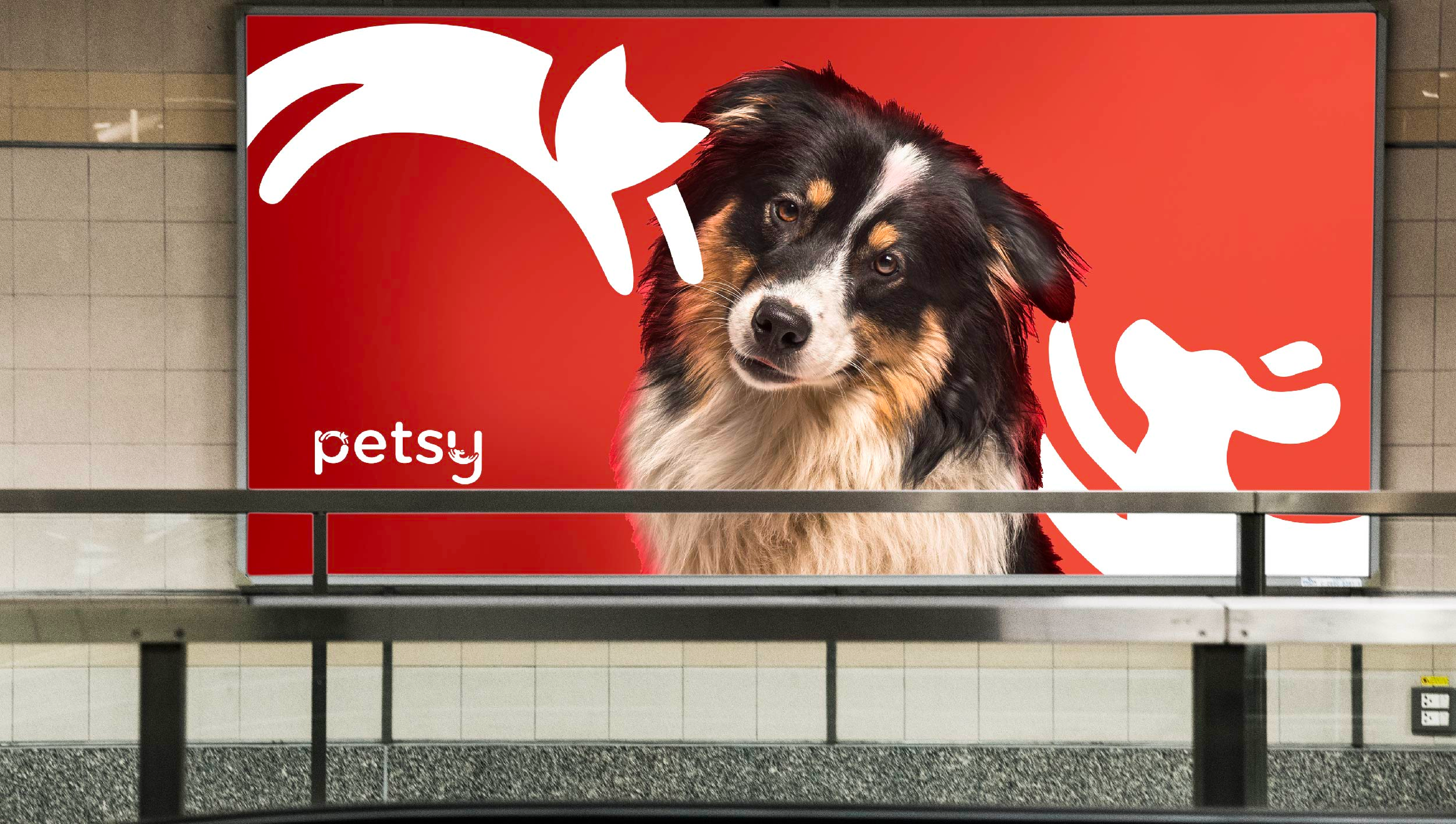 🐾 Petsy – Reduced CAC, Grew Customer Base